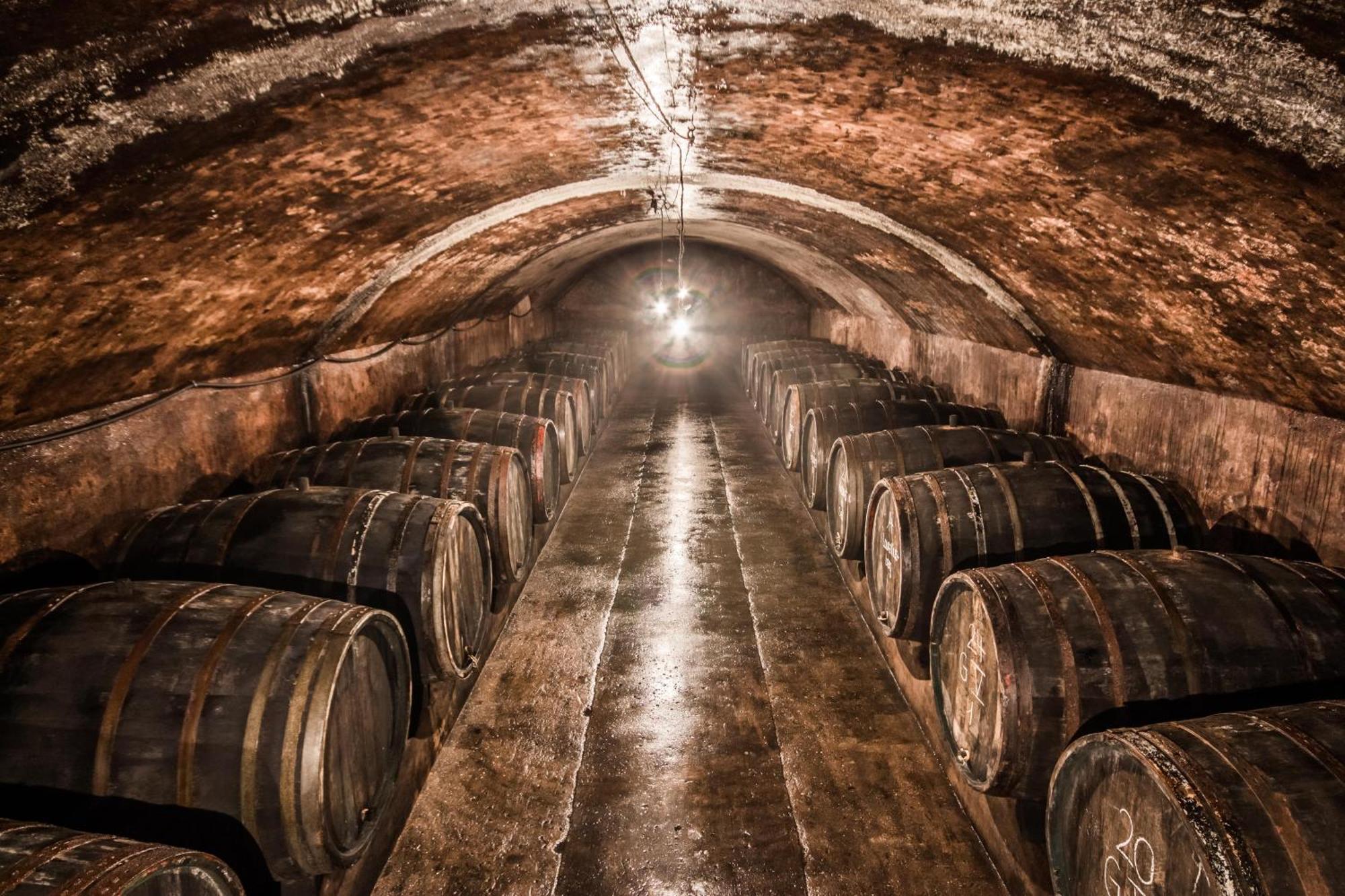 Villa Weingut Dr Wagner Saarburg Esterno foto