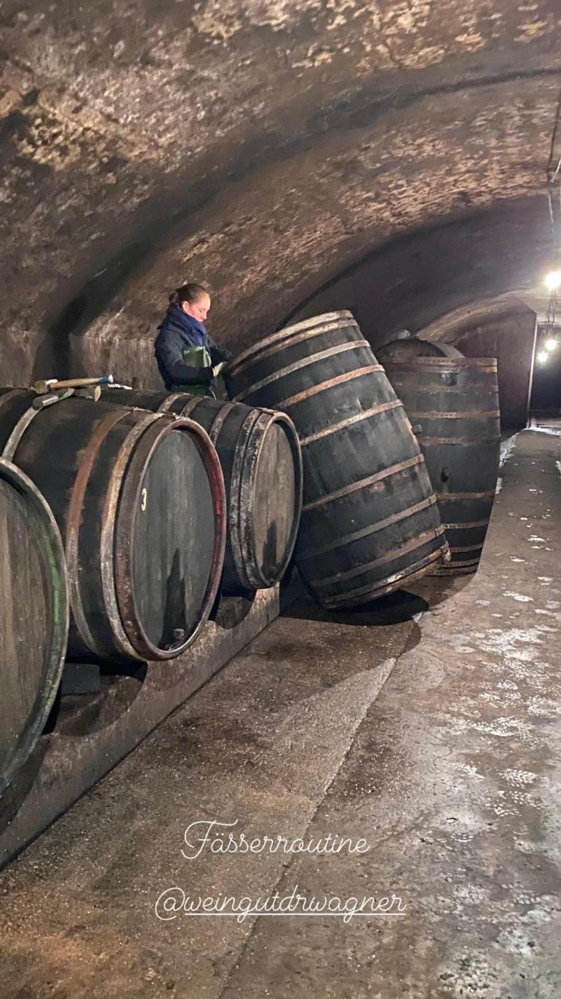 Villa Weingut Dr Wagner Saarburg Esterno foto