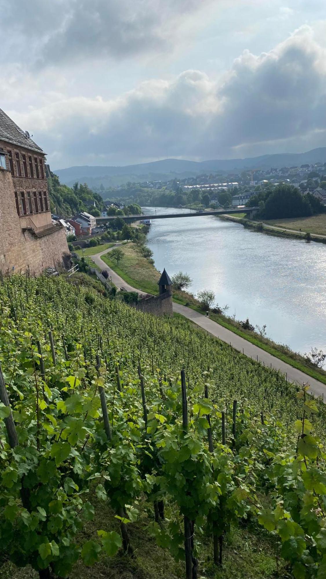 Villa Weingut Dr Wagner Saarburg Esterno foto