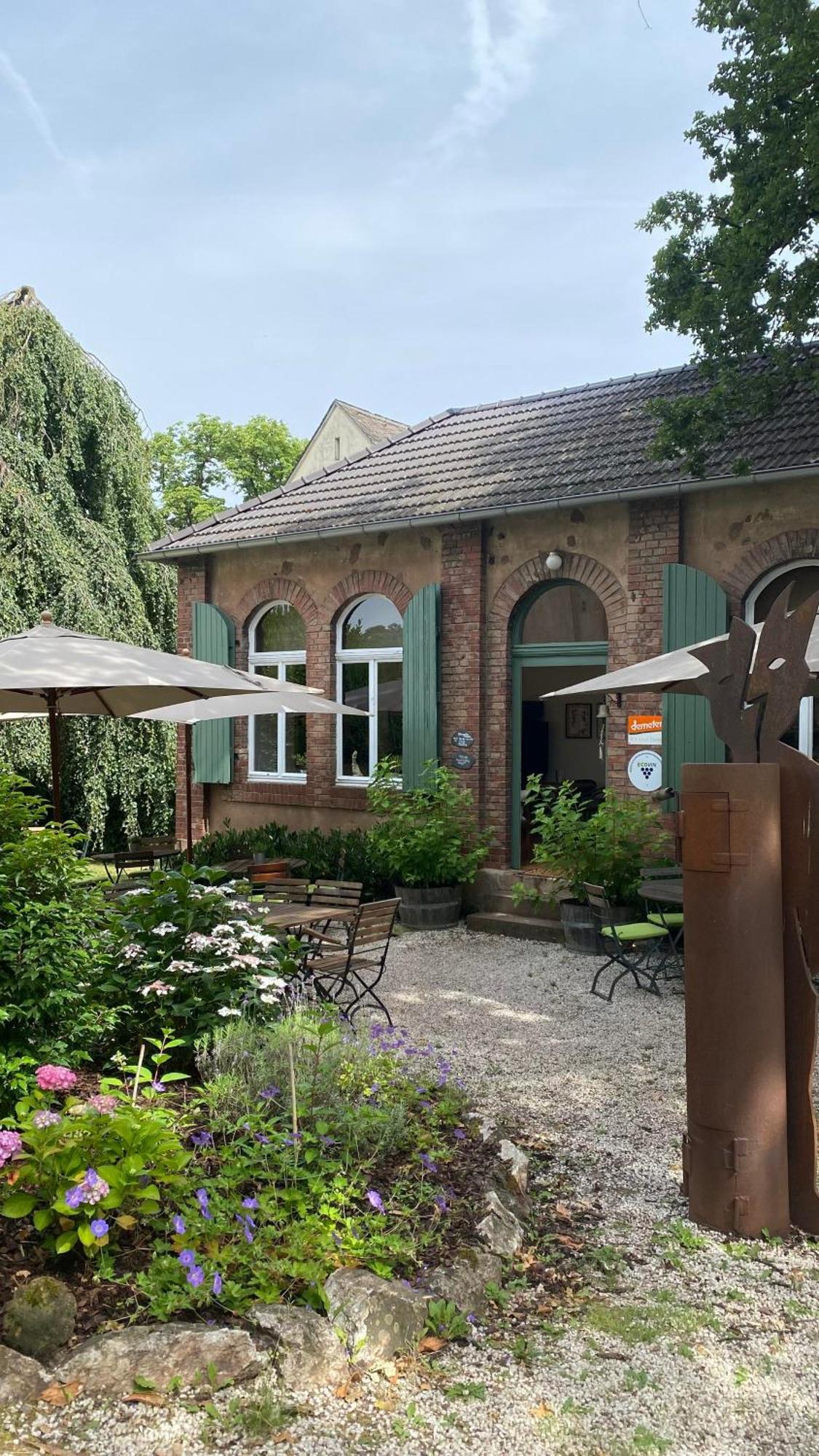 Villa Weingut Dr Wagner Saarburg Esterno foto